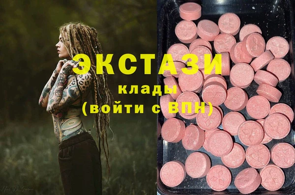 индика Волоколамск