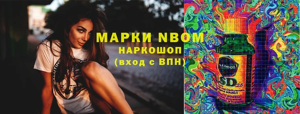 индика Волоколамск