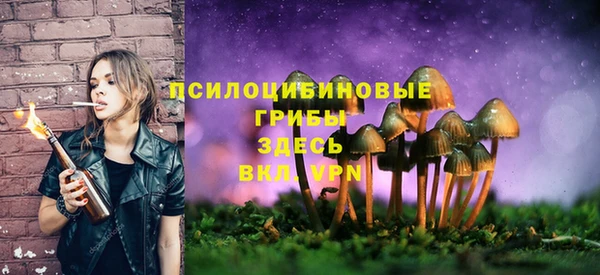 альфа пвп Верхний Тагил