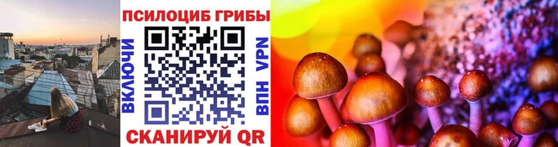 Галлюциногенные грибы мухоморы где купить наркотик Ессентуки